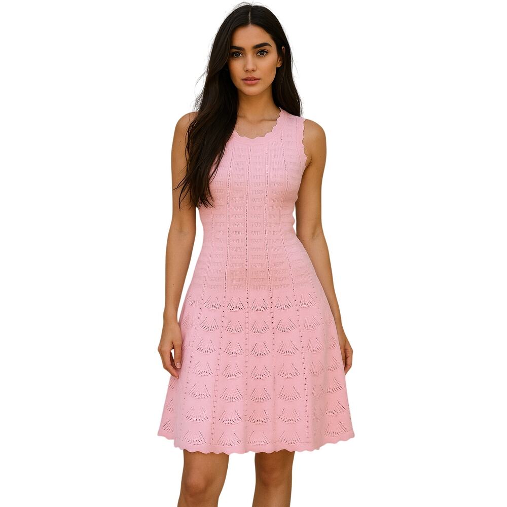 Pink Knit Fit Flare Dress Textured Eyelet Cottagecore Boho NWT S